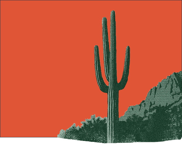 The Sonoran desert